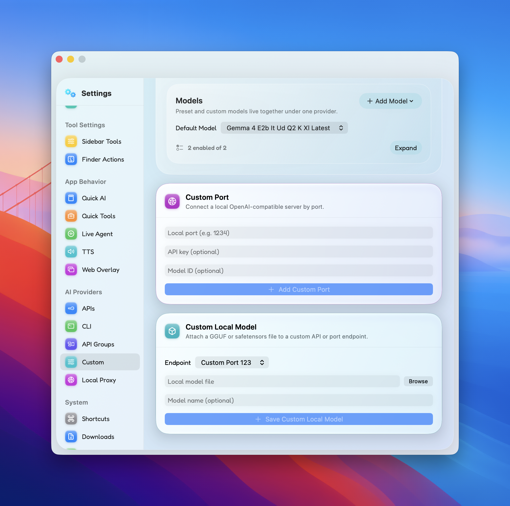 Prism Custom Local Model settings with automatic port and model setup